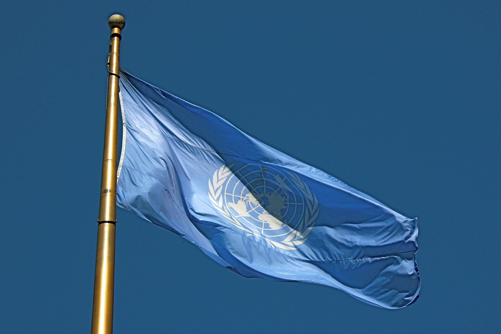 united nations fn flagga