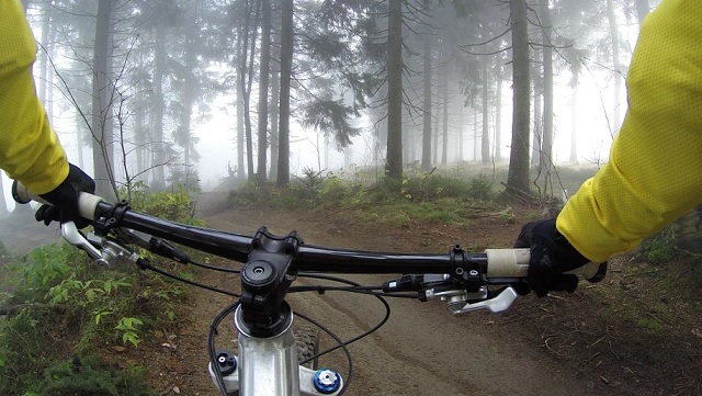 cykel styre skog