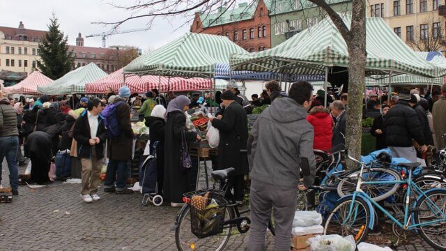 Artikelbild för artikeln: När svenskan tystnar i vardagen – språkets tillbakagång oroar