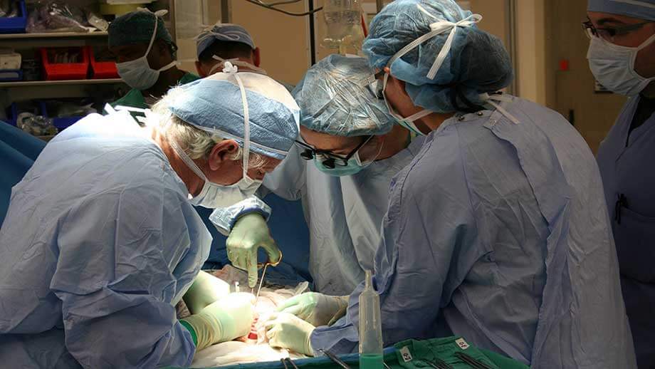 transplantation-operation-bild-pixabay