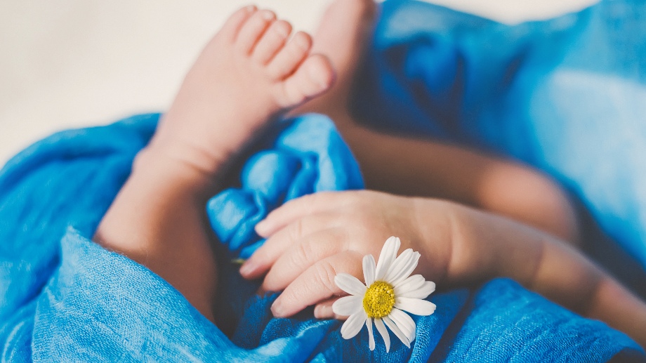 Newborn baby is holding a chamomile flower. Selective focus. people.