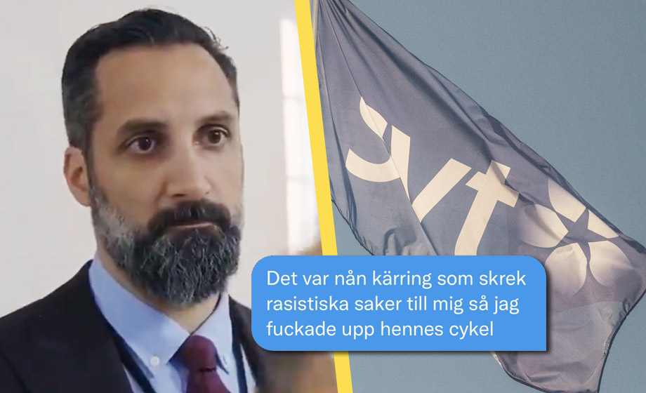 SVT-profilens antirasist-dåd: Sparkade omkull kvinna med hundar