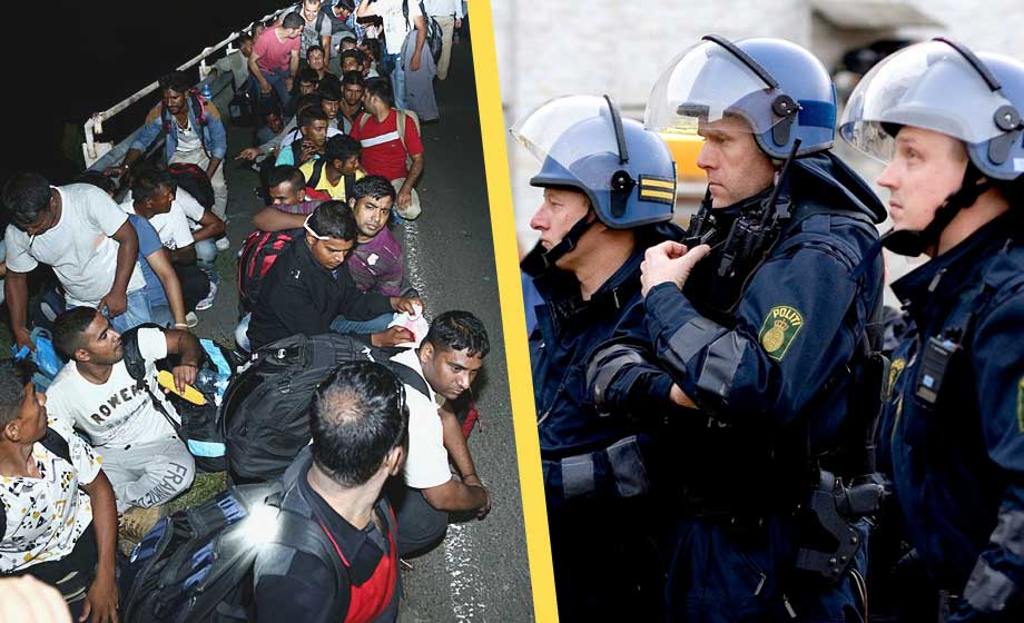 migranter-polis-danmark-politi