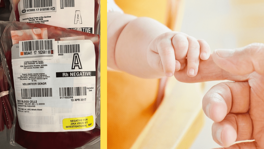 blod transfusion bebis