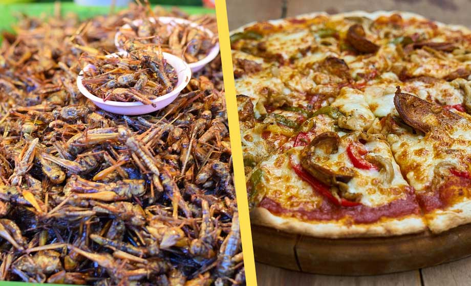 syrsor-insekter-pizza