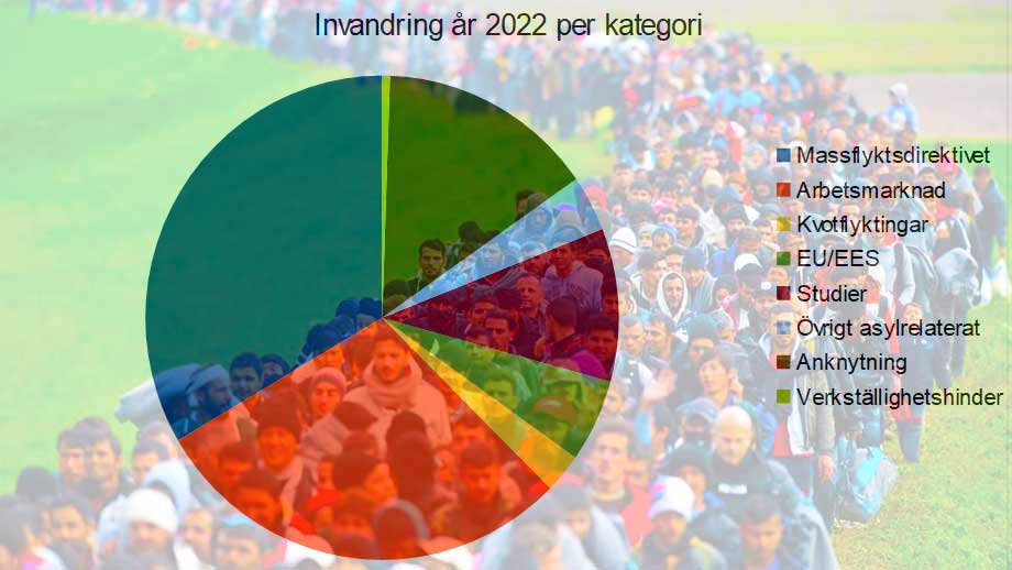 Invandring-2022-utan-siffror