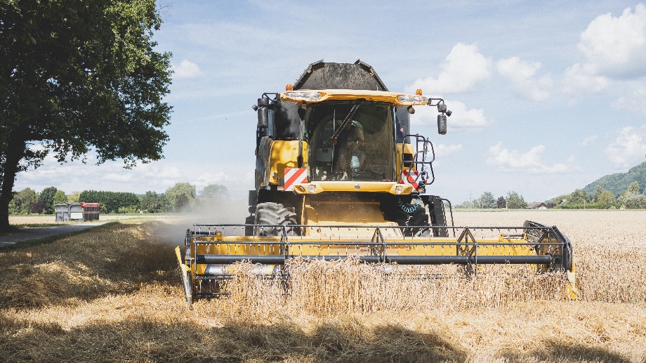 wheat-harvest-time-in-summer-2021-08-30-21-15-53-utc