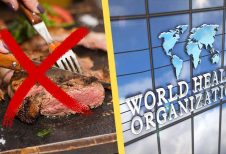 Artikelbild för artikeln: WHO: Världens regeringar måste bannlysa kött för att förhindra nästa pandemi