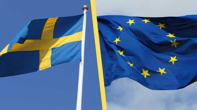 Artikelbild för artikeln: Sverigedemokraternas ungdomsförbund för Swexit