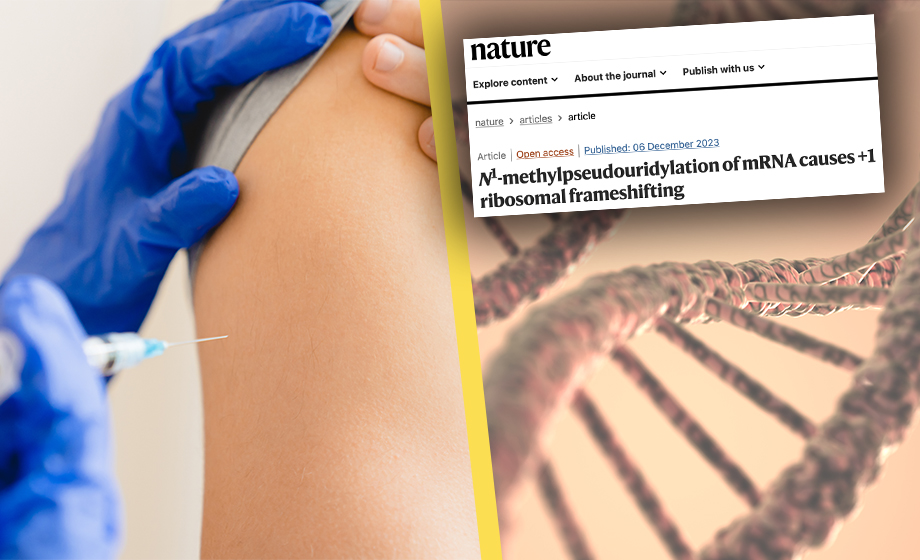 Artikelbild för artikeln: Ny studie: mRNA-vaccin kan bilda vanskapta proteiner