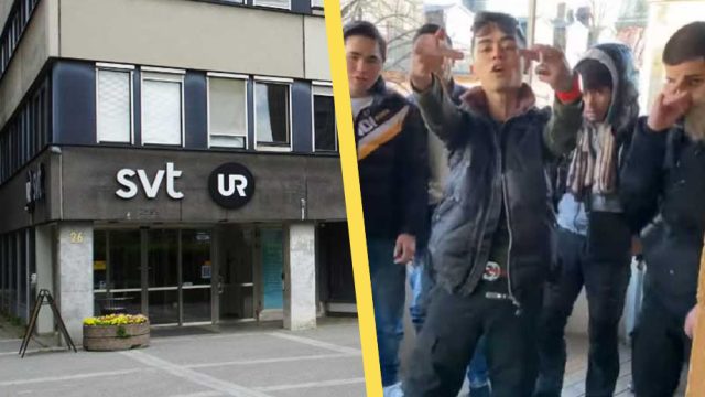 Artikelbild för artikeln: SVT:s barnprogram till attack mot SD och regeringen