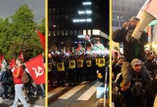Artikelbild för artikeln: VIDEO: Gaza-demonstrationen vid Eurovision