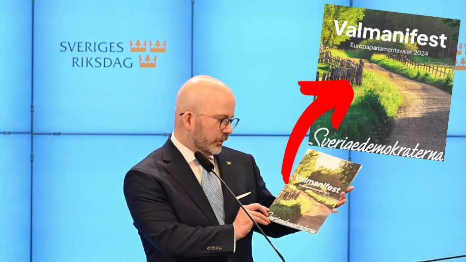 Artikelbild för artikeln: Det här går SD till val på den 9 juni