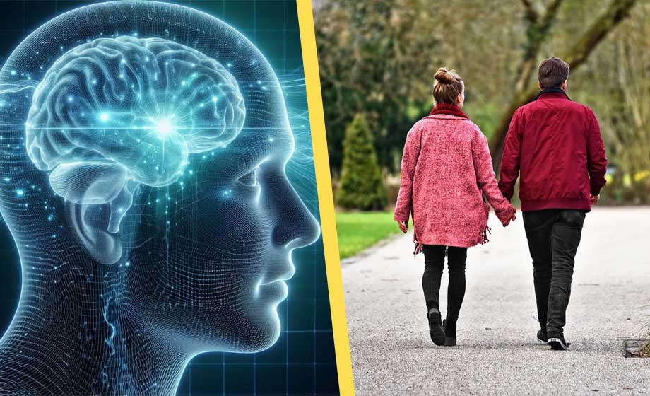 Artikelbild för artikeln Stor skillnad på mäns och kvinnors hjärnor - kan förklara mental hälsa