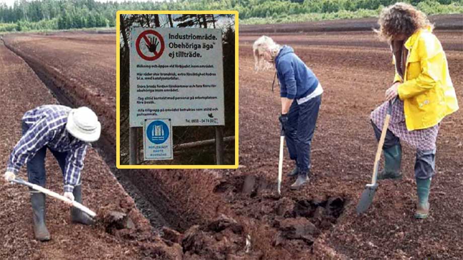 Klimatextremister FRIAS: Olaga intrång och skadegörelse omfattas av allemansrätten